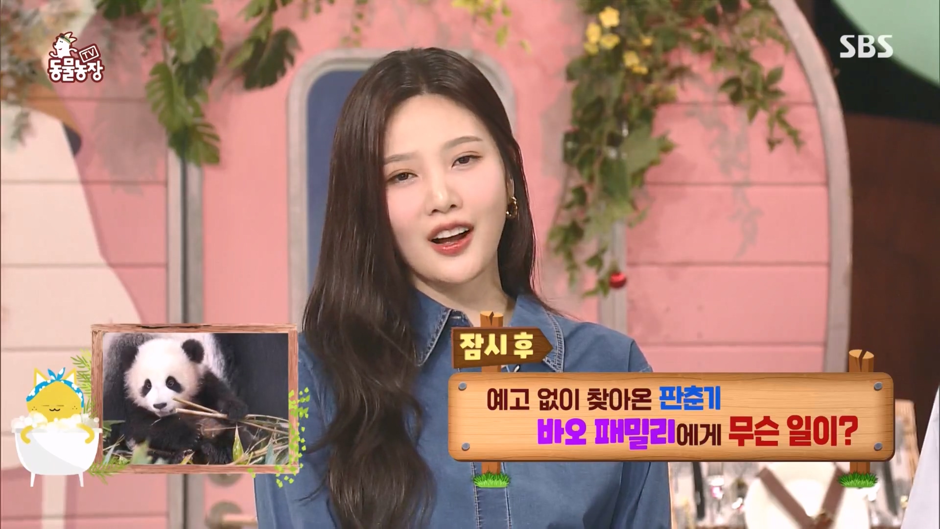 TV 동물농장.E1160.240225p.H264-F1RST.mp4_20240225_162739.421.jpg