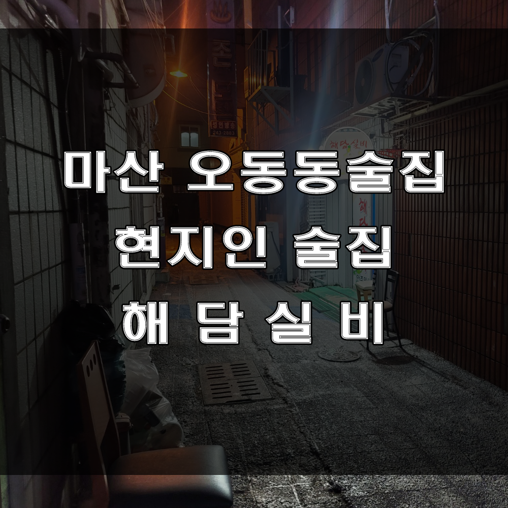 마산 오동동 현지인 맛집이라고 알려진 안주 맛집 해담실비 술집 (feat : 닭도리탕)