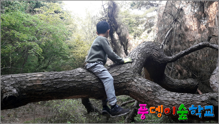 자연을담다 이미지