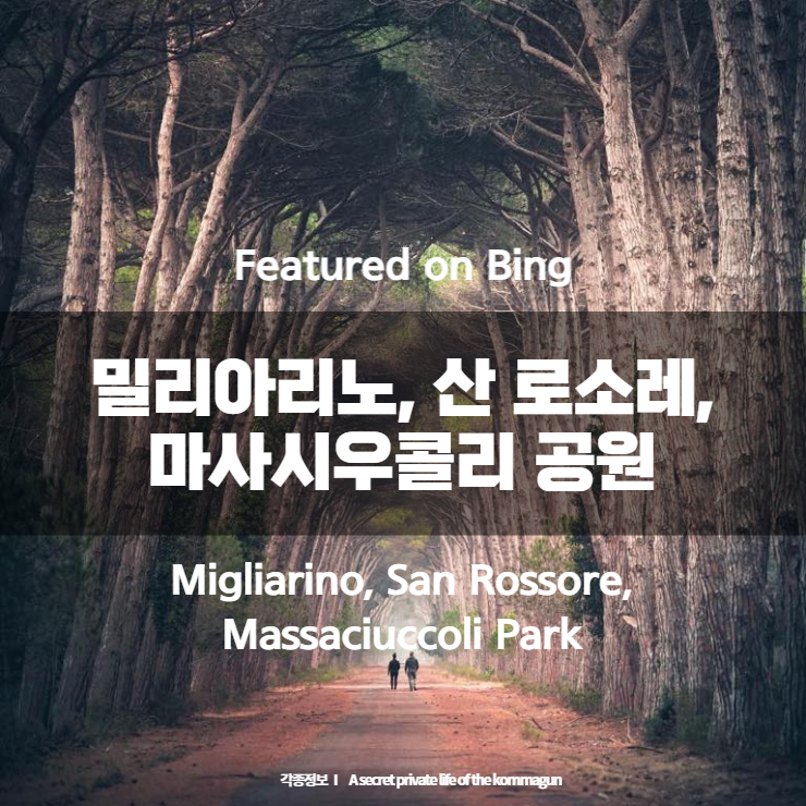  Featured on Bing - 밀리아리노, 산 로소레, 마사시우콜리 공원 Migliarino, San Rossore, Massaciuccoli Park