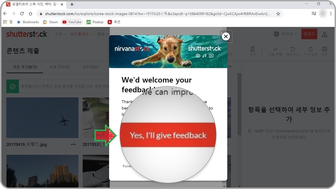 설문-조사-참여