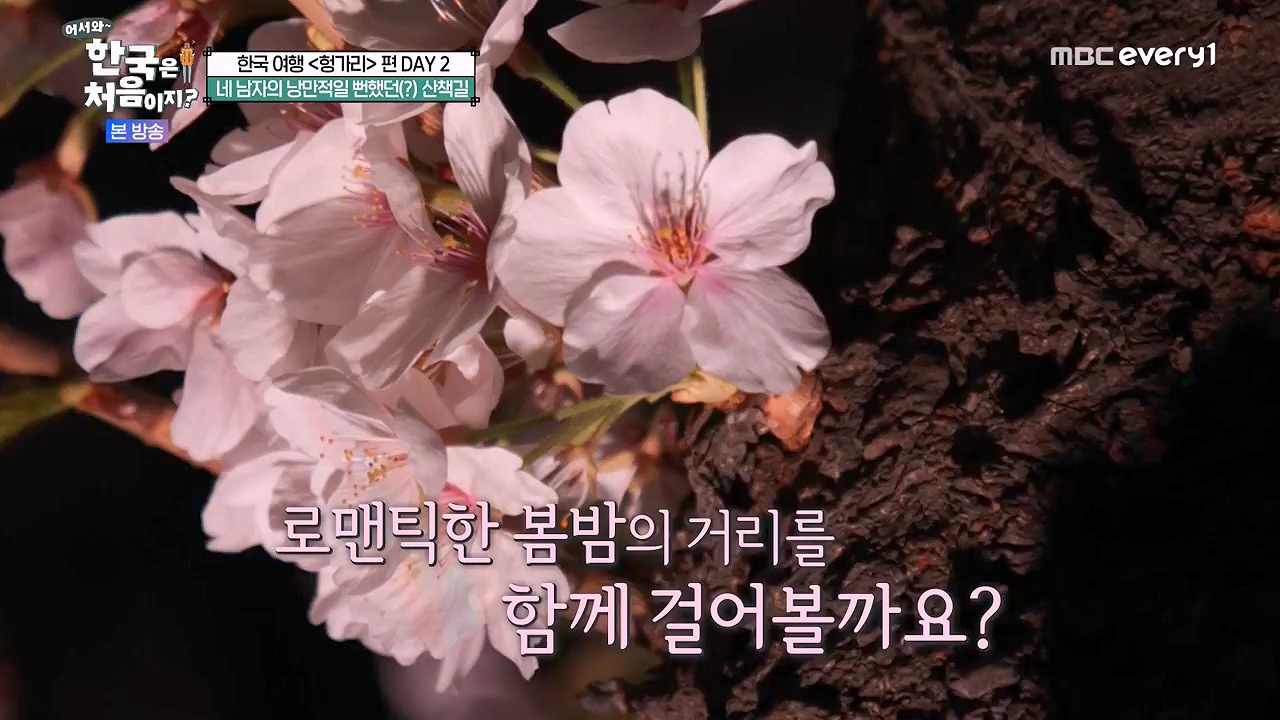 어서와 한국은 처음이지 시즌2.E317.240607p-NEXT.mp4_20240607_201731.553.jpg