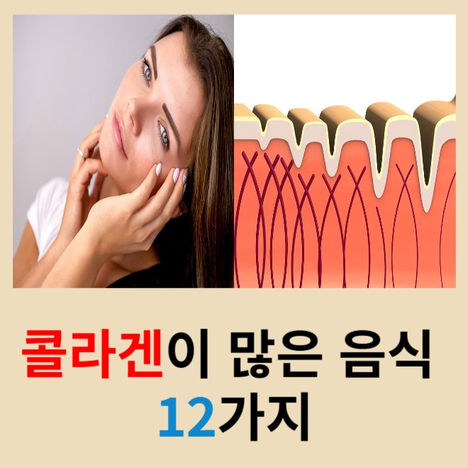 콜라겐이-많은-음식-12가지