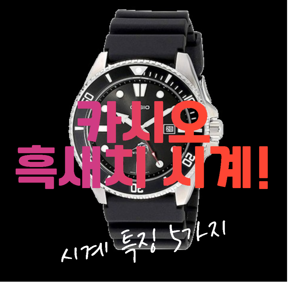 카시오 흑새치 (mdv106) 특징 5가지 정리