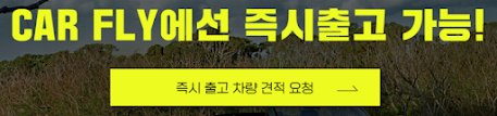  신차구하기 힘들 땐 즉시출고가능한 렌트/리스업체를 알아보자
