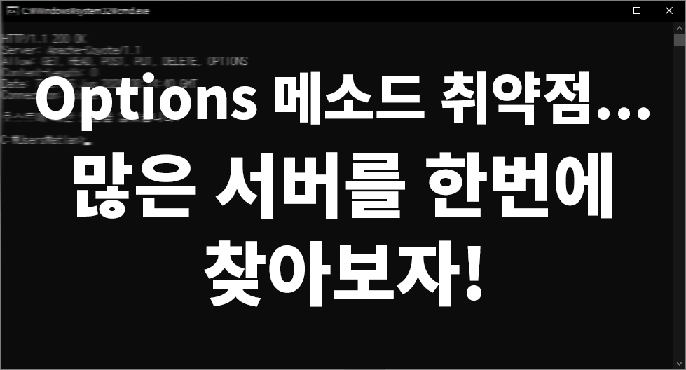  여러대의 서버의 Options method 스크립트를 활용한 취약점 확인 방법