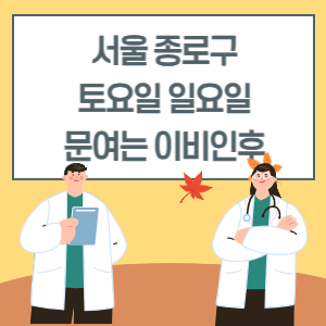 서울 종로구 토요일 일요일 이비인후과 진료 병원 리스트