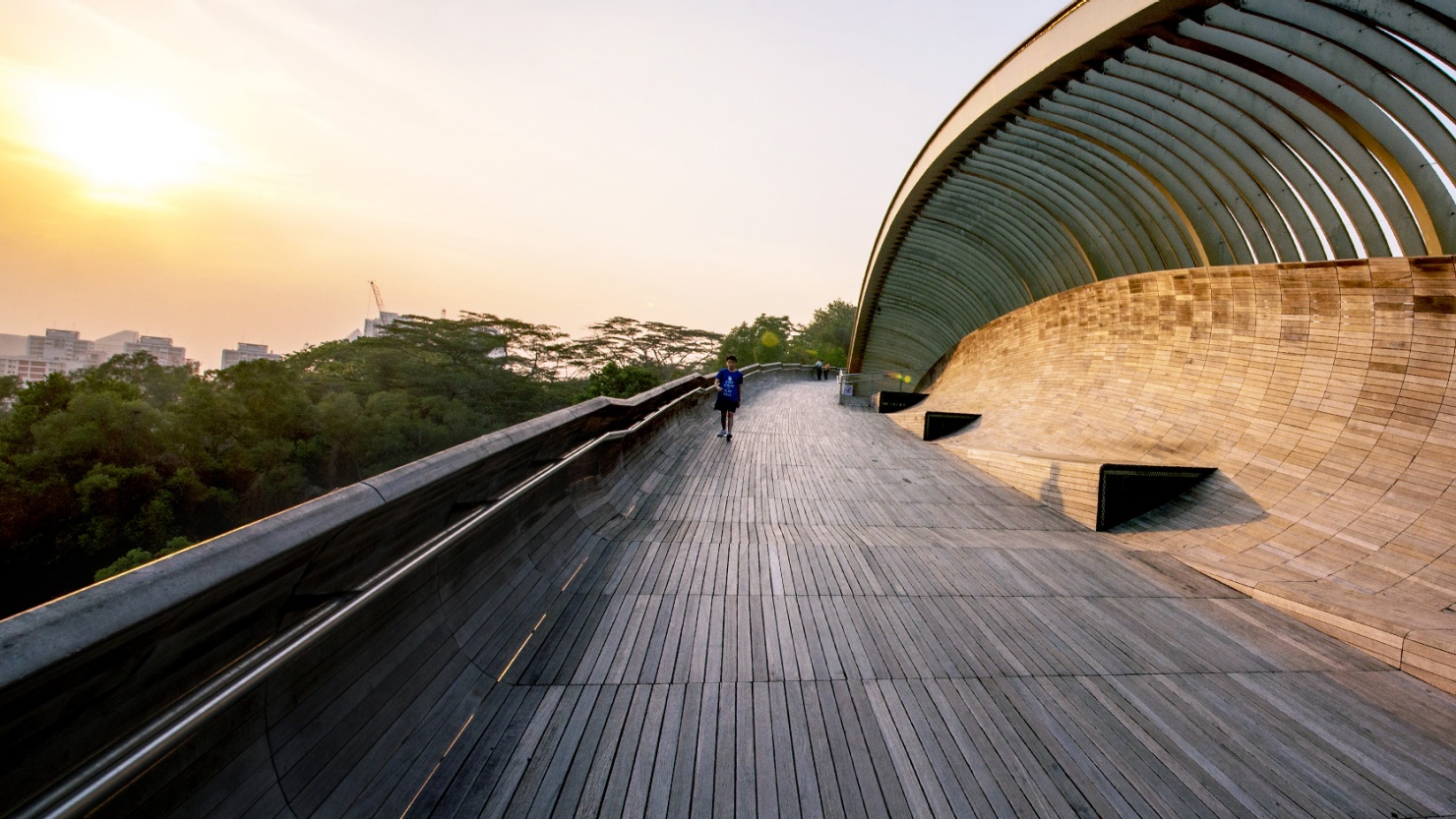 헨더슨 웨이브(Henderson Waves)