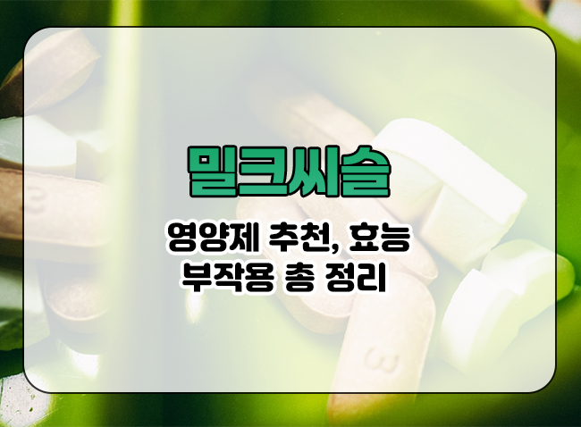  만성피로에 좋은 밀크씨슬 영양제 추천 효능과 부작용 알아보기