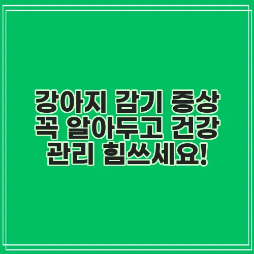 강아지 감기 증상 꼭 알아두고 건강 관리 힘쓰세요!