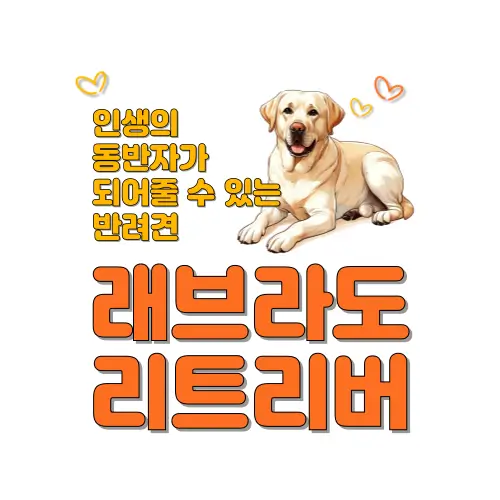 래브라도 리트리버 썸네일