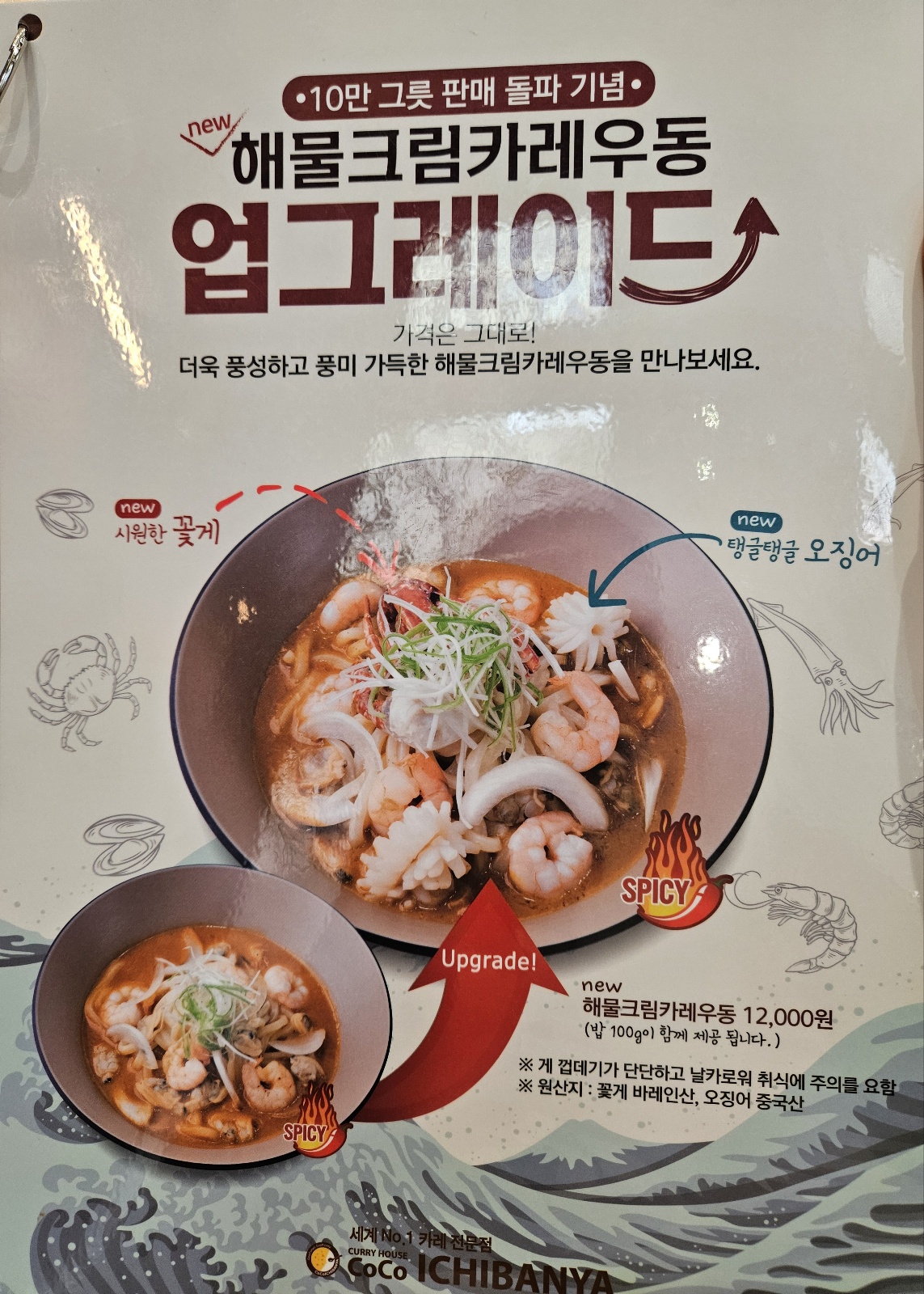 퍼블릭코코 이미지