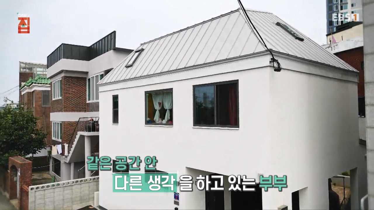 TV - 전 국민의 평생학교 EBS한 지붕, 딴 생각으로 지은 집.mp4_20231226_201756.102.jpg