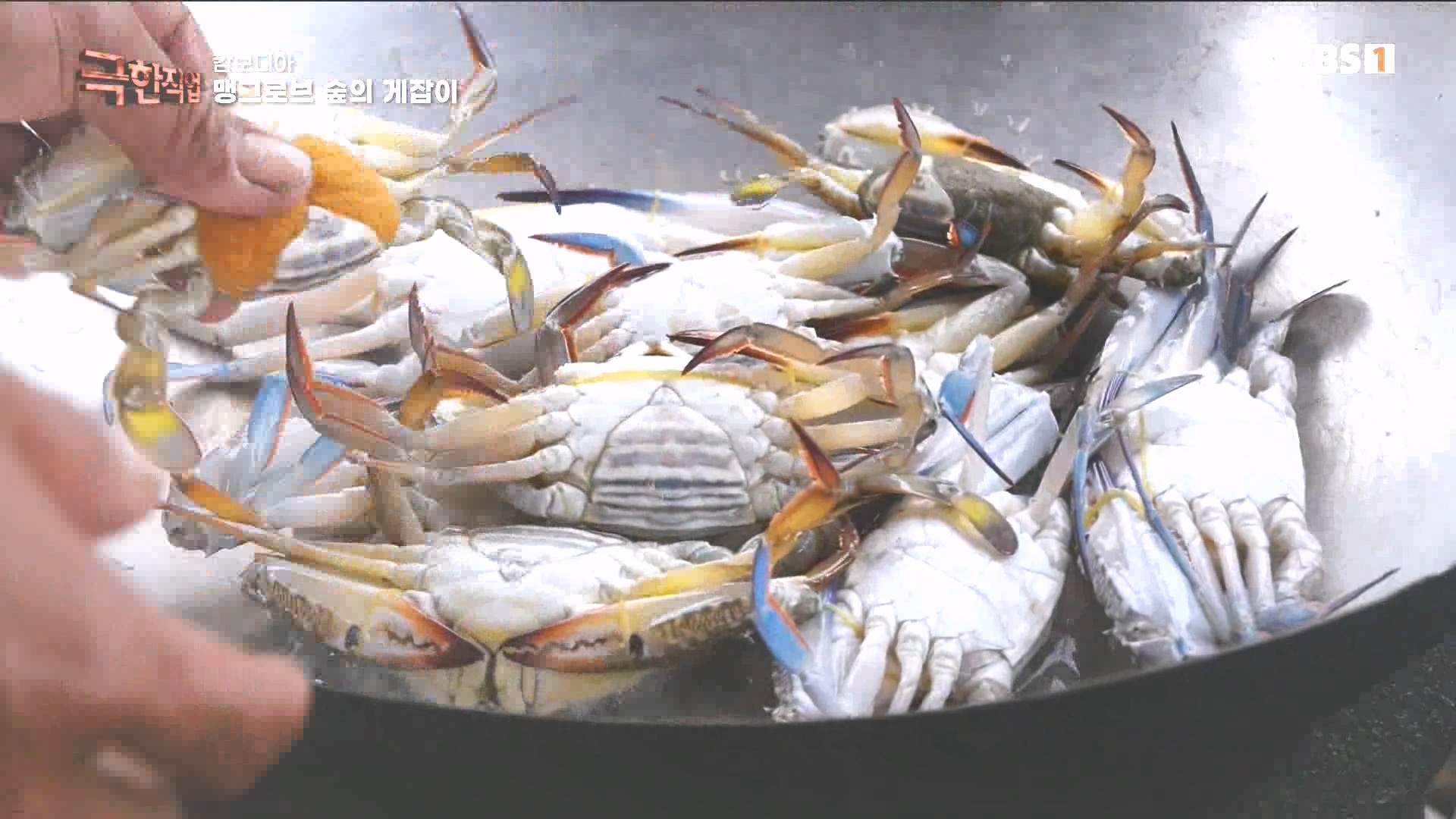 물뱀 사냥과 맹르로브숲의 게잡이 231021.mp4_20231025_204548.978.jpg