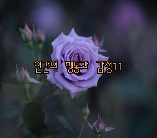  인간의 행동과 감정 - 해몽11;곱고치밀함,딱딱함,굳음,덥고,뜨겁고,따스함,춥고,차고,시원함,구린냄새와향기,미각 등