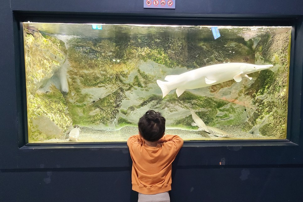 부천 아쿠아리움 부천 아쿠아리움먹이주기 체험 8
