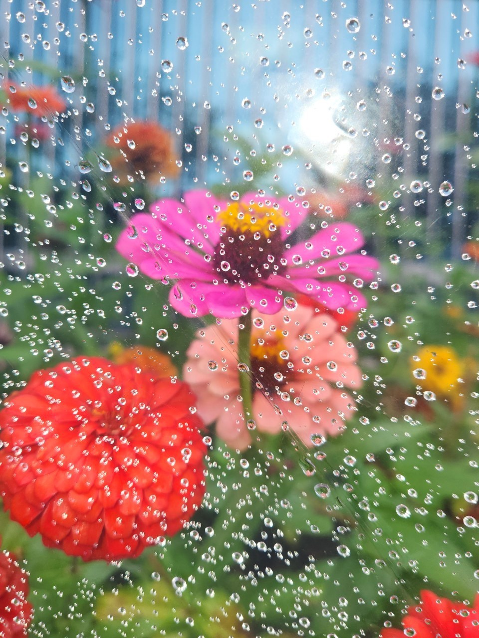 밤빗 이미지