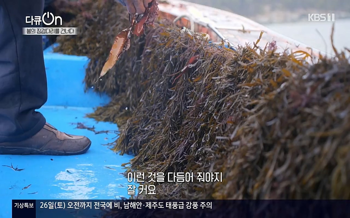 다큐 온.E132.220326p-NEXT.mp4_20220403_181721.602.jpg
