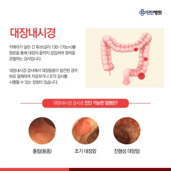 대장내시경 당일식사 주의사항 피해야 하는 음식_6