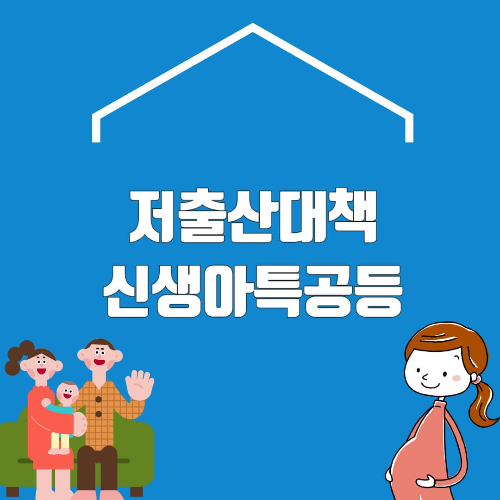 저출산대책 신생아특공등