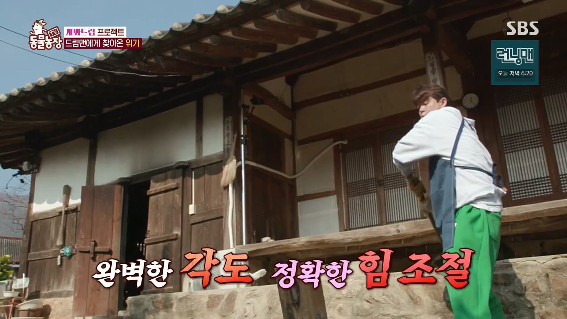 TV 동물농장.E1102.230101p.H264-F1RST.mp4_20230101_182852.210.jpg