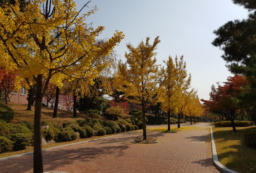 계명대학교 성서캠퍼스3