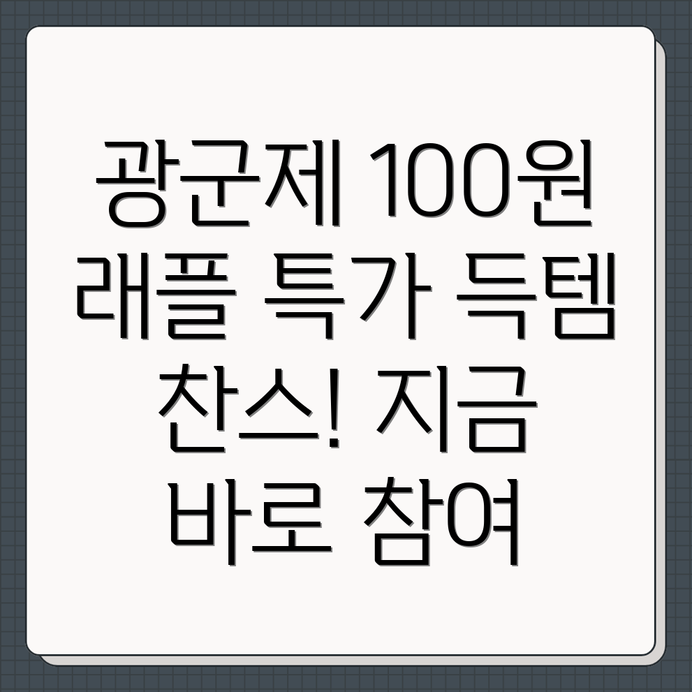 알리익스프레스 광군제