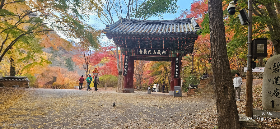 내장산입구