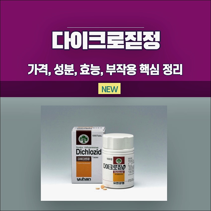 다이크로짇정 25mg 정보