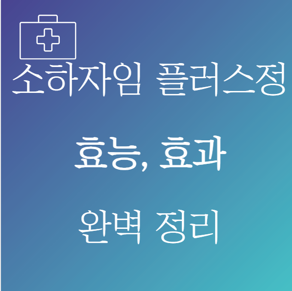 소하자임 플러스정