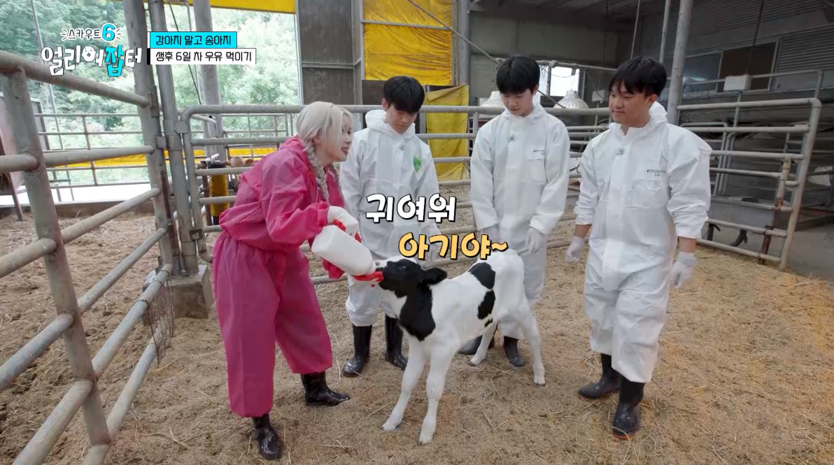 개신기한 병아리 꿈틀대면서 부화하는 모습...jpg | 인스티즈