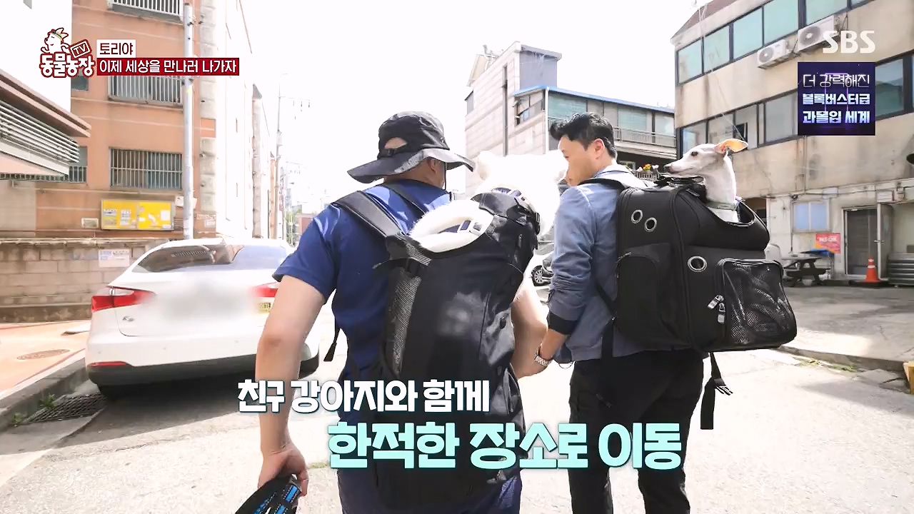 TV 동물농장.E1179.240708p-NEXT.mp4_20240707_160436.775.jpg