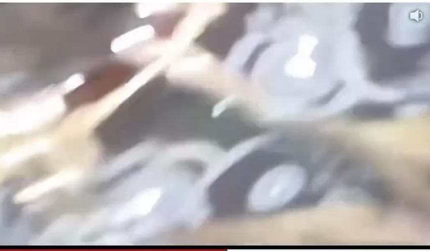 img.jpg