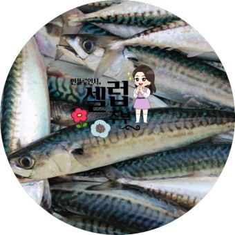 등푸른 생선이란 어떤 생선인가요?