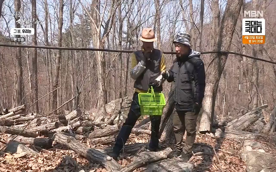 나는 자연인이다.E498.220421p-NEXT.mp4_20220421_184054.601.jpg