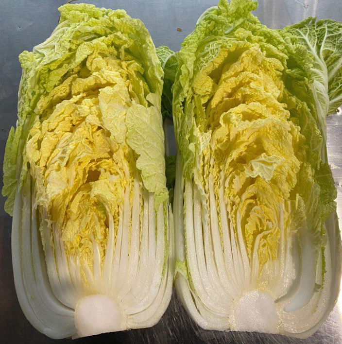  애지중지 키우던 쌈배추 수확