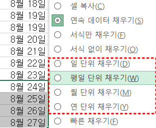 자동채우기 다양한 기능