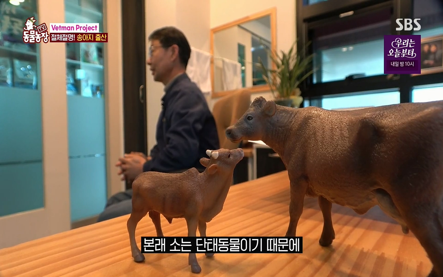 TV 동물농장.E1069.220515p.H264-F1RST.mp4_20220515_180116.167.jpg