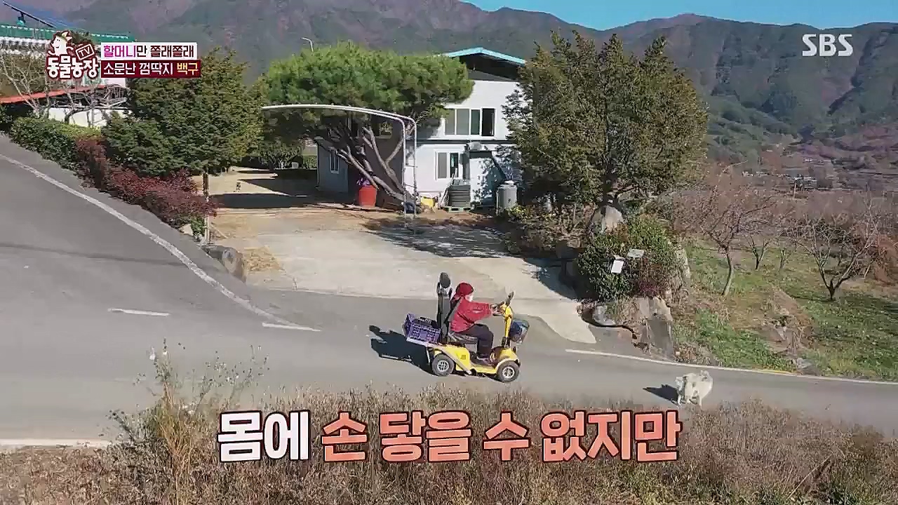 TV 동물농장.E1104.230123p.WANNA.mp4_20230123_195407.537.jpg