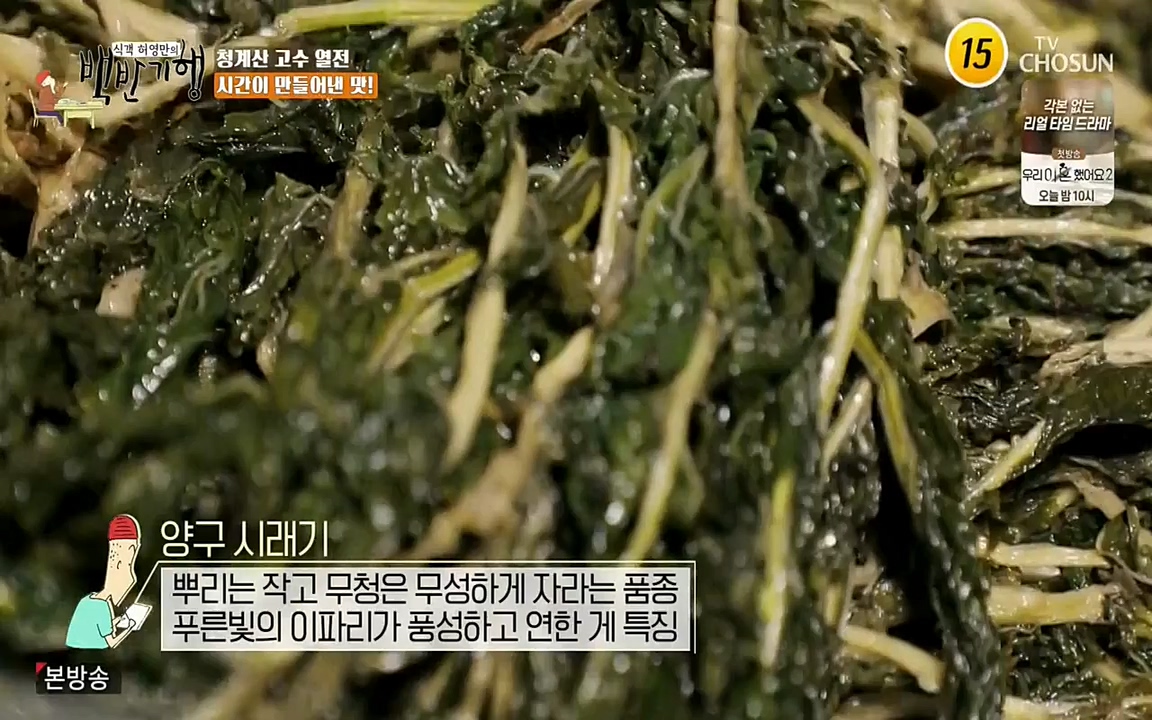 식객 허영만의 백반기행.E147.220409p-NEXT.mp4_20220409_173452.618.jpg