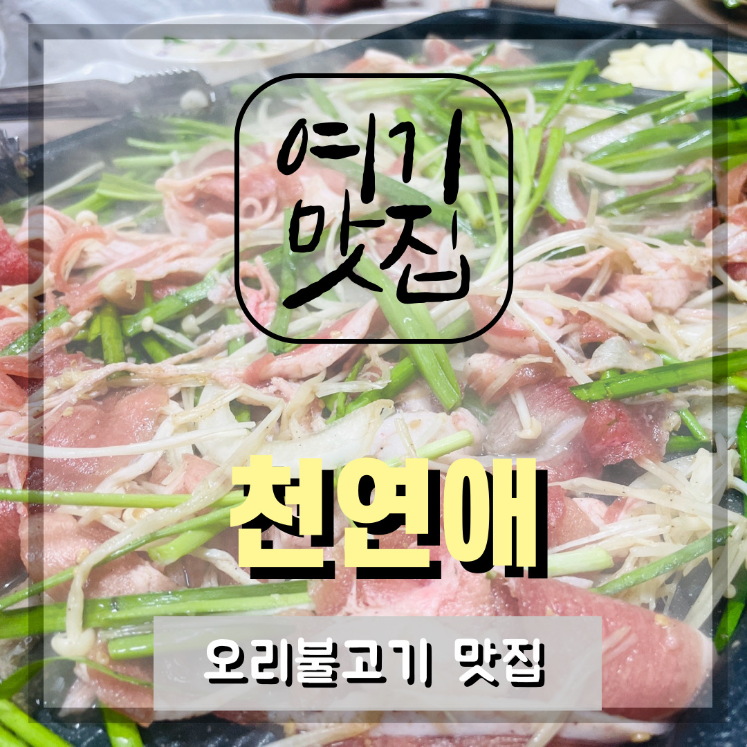  [대구 달서구 맛집] 천연애 : 오리불고기 맛집, 모임장소 추천