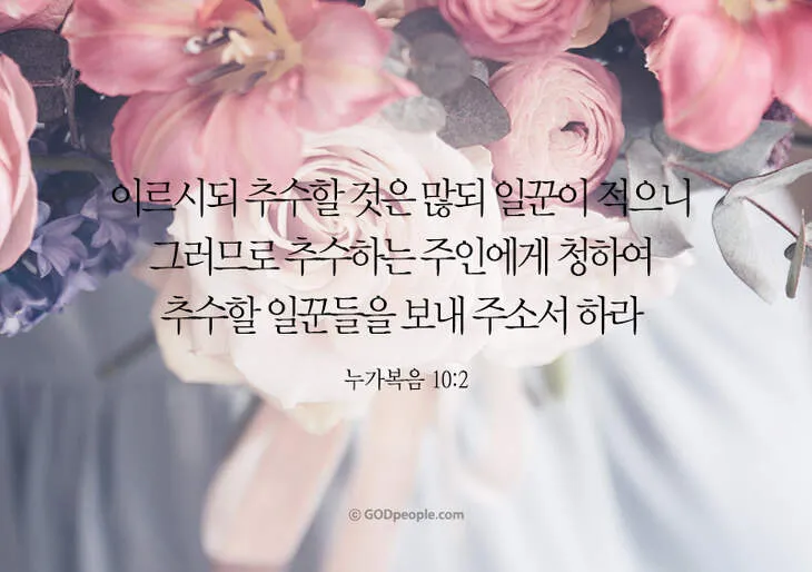 누가복음 10장 성경 읽기 해석 글귀_5