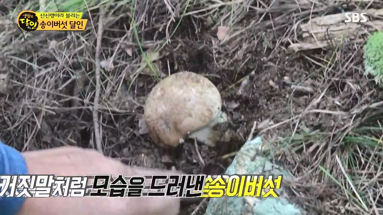 생활의 달인.E907.231010p-NEXT.mp4_20231010_202752.400.jpg