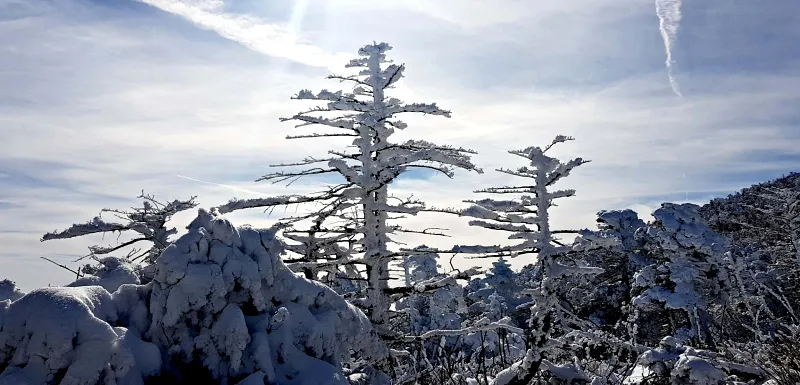 제주 한라산 설경 상고대
