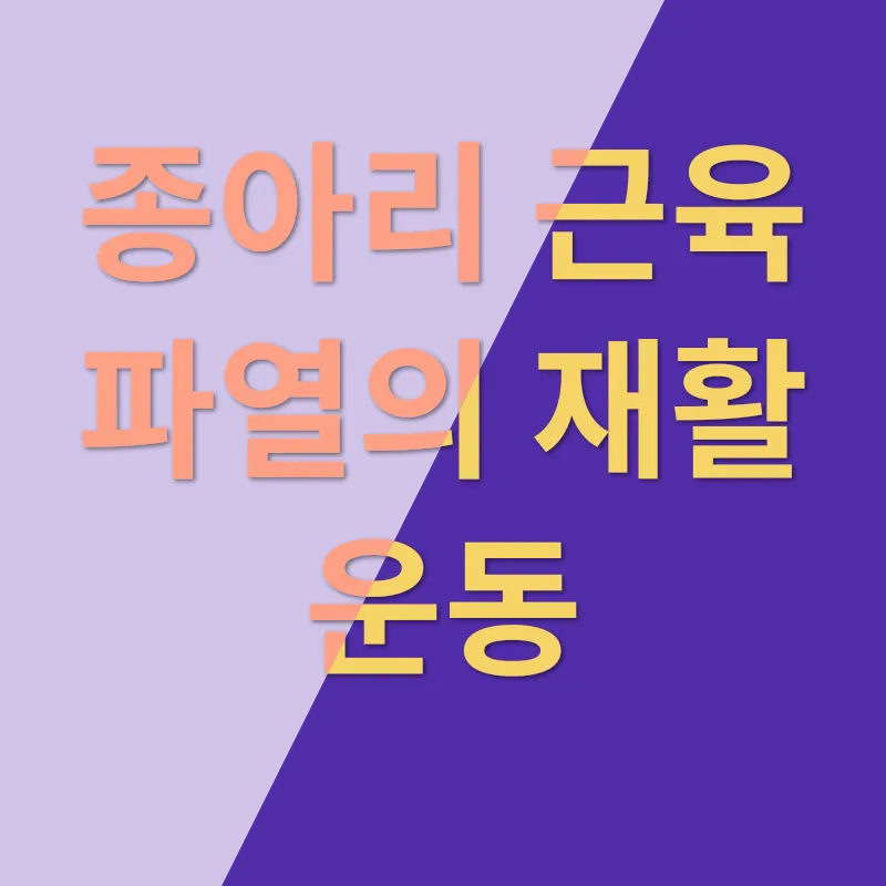 종아리 근육 파열_3