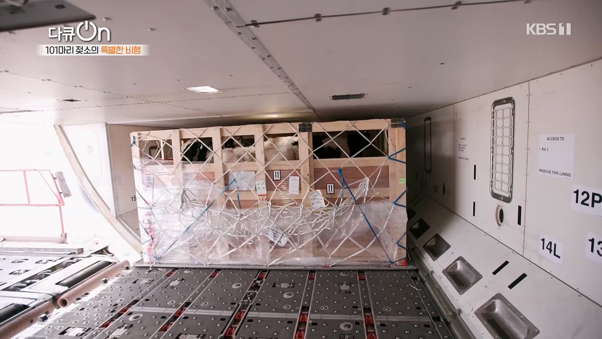 다큐 On.E184.230203p.H264-F1RST.mp4_20230211_175650.882.jpg