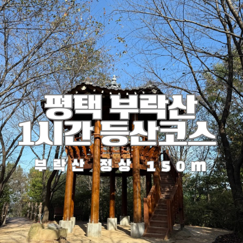 부락산 이미지