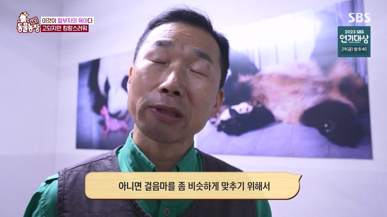 TV 동물농장.E1150.231218p-NEXT.mp4_20231217_171350.138.jpg