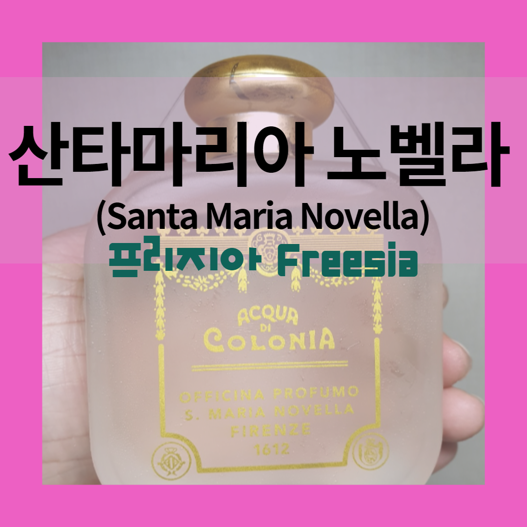  데일리 향수로 딱인 플로럴 베이비파우더향, 산타마리아노벨라 프리지아 향수 후기