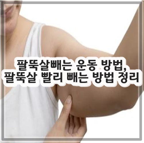 팔뚝살빼는 운동 방법&#44; 팔뚝살 빨리 빼는 방법 정리